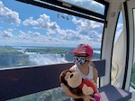Niagara SkyWheel Child with Mask
